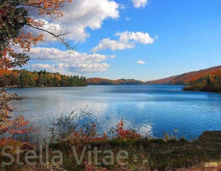 Отзывы на компанию Звезда Жизни в Нижнем Новгороде c фото