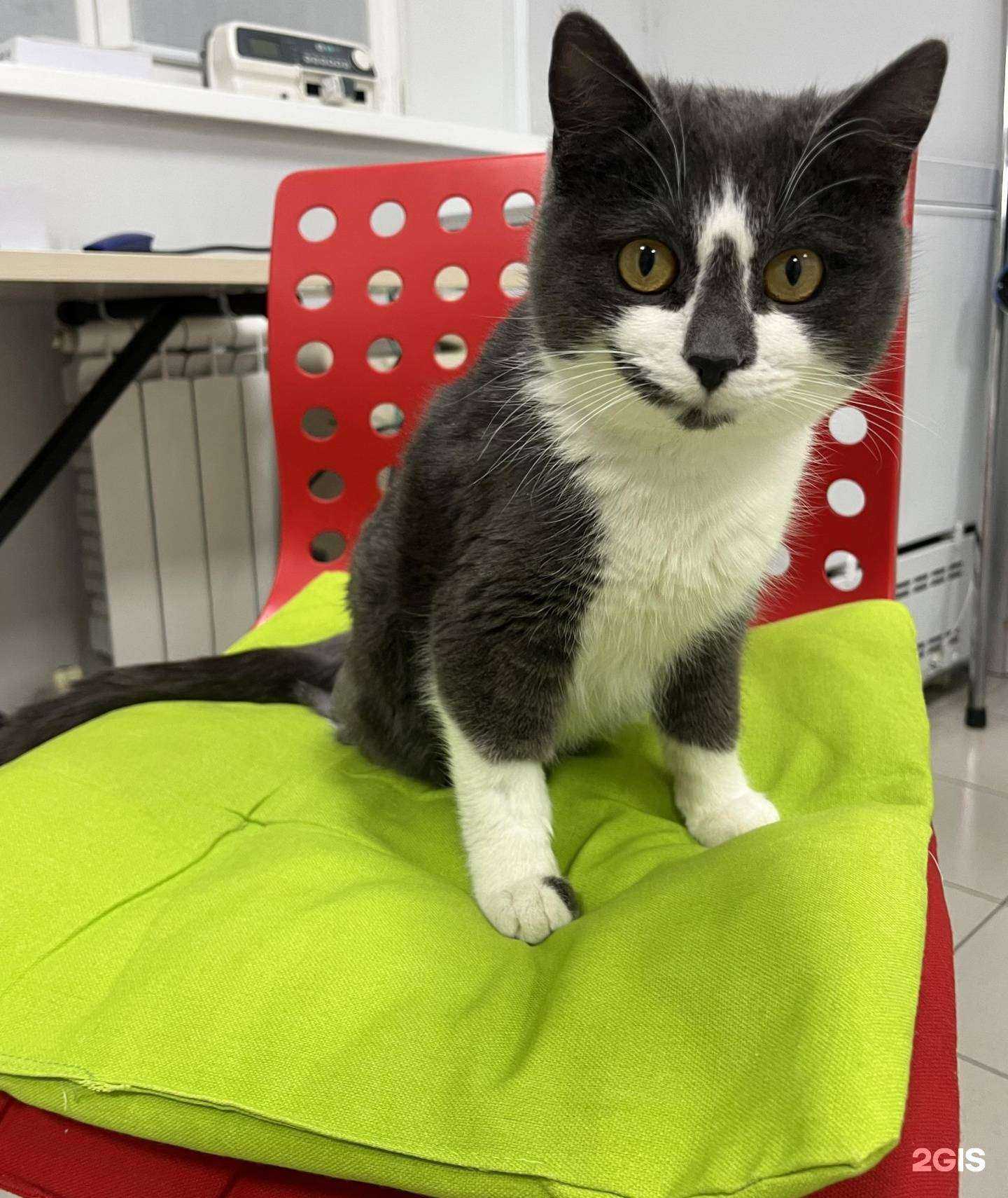 Отзывы на компанию Бона Кэти в г. Артём c фото