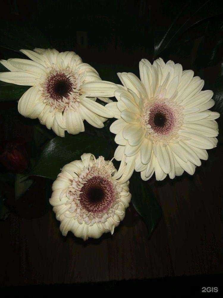 Отзывы на компанию Дверь в Леttо в Новосибирске c фото