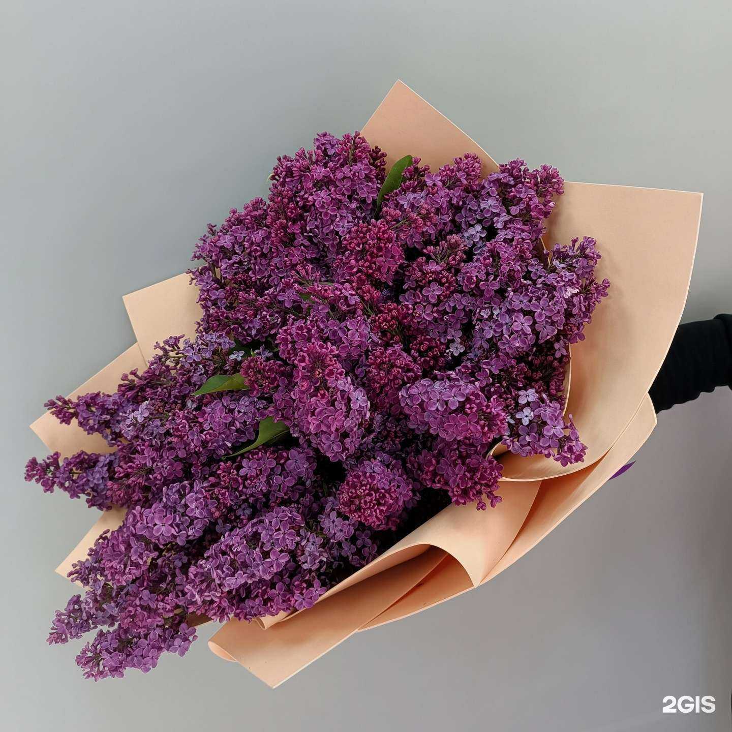 Отзывы на компанию Флора дизайн в г. Фрязино c фото