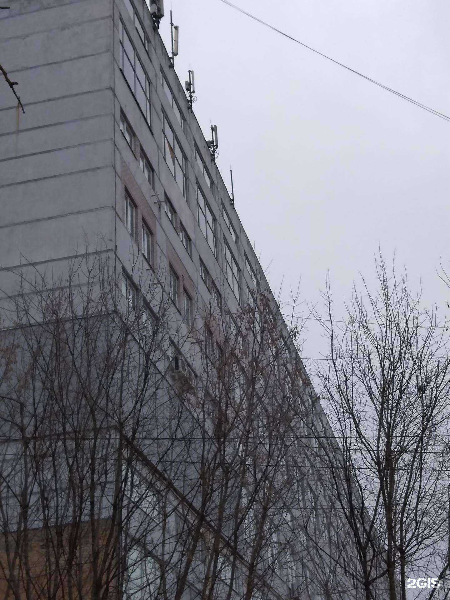 Отзывы на компанию Кости тату в Калуге c фото - фотография 2 из 2