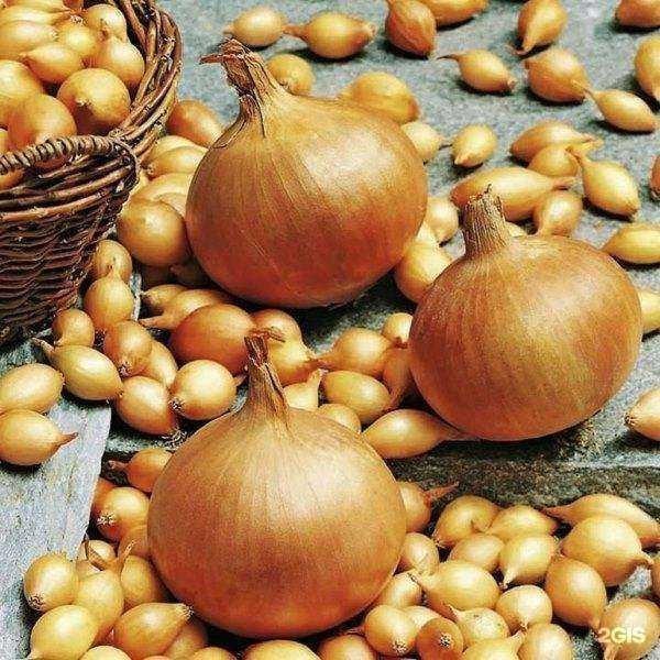 Отзывы на компанию Магазин семян в г. Комсомольск-на-Амуре c фото