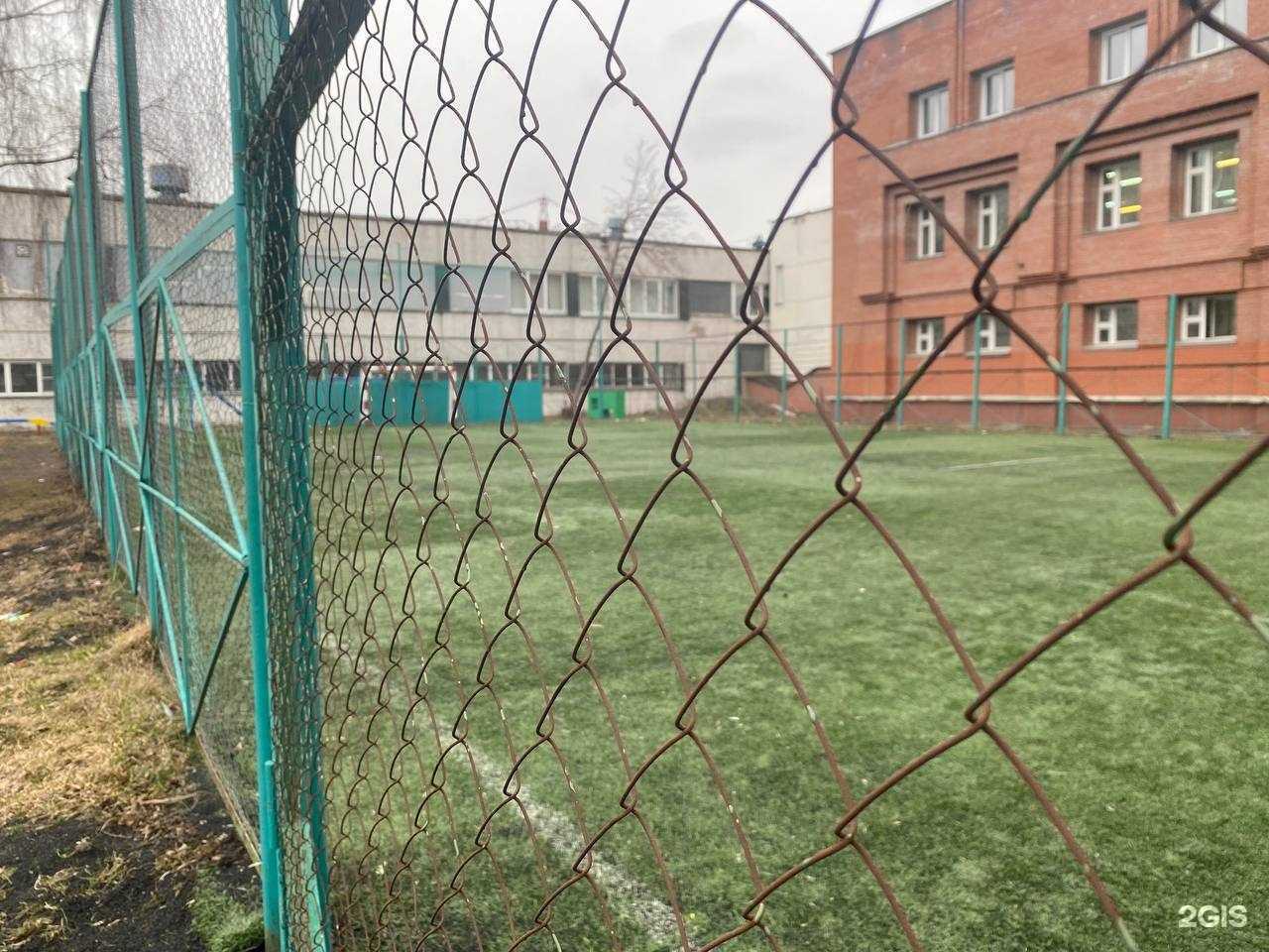 Отзывы на компанию Siberian Bears в Новосибирске c фото