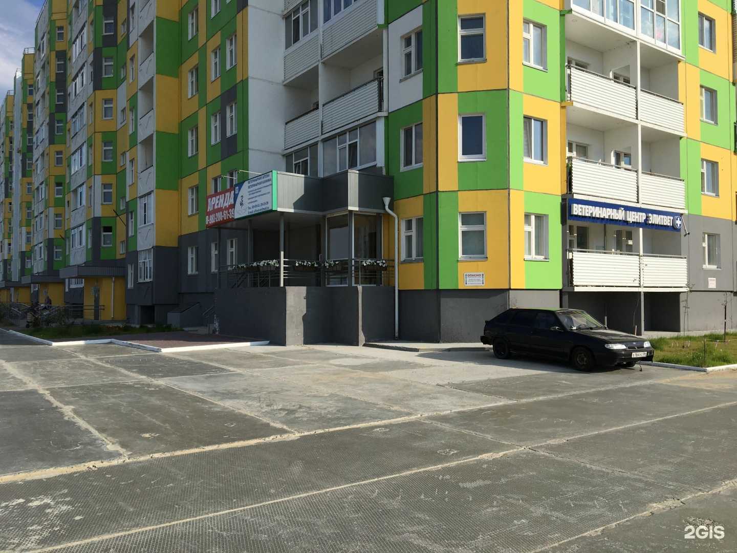 Отзывы на компанию Элитвет в Нижневартовске c фото