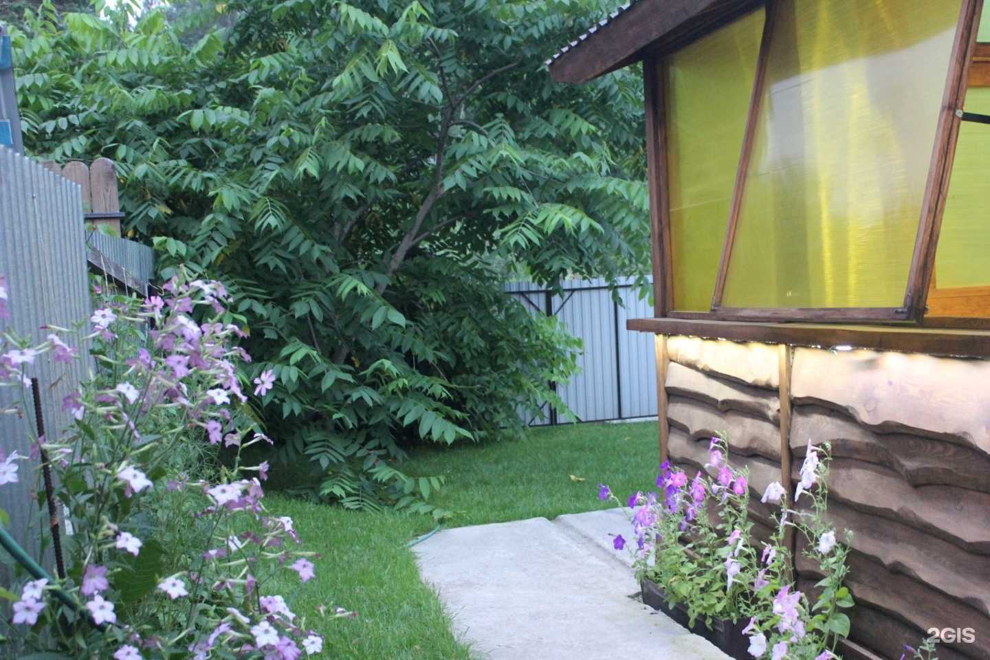 Отзывы на компанию Кедр в г. Барнаул c фото