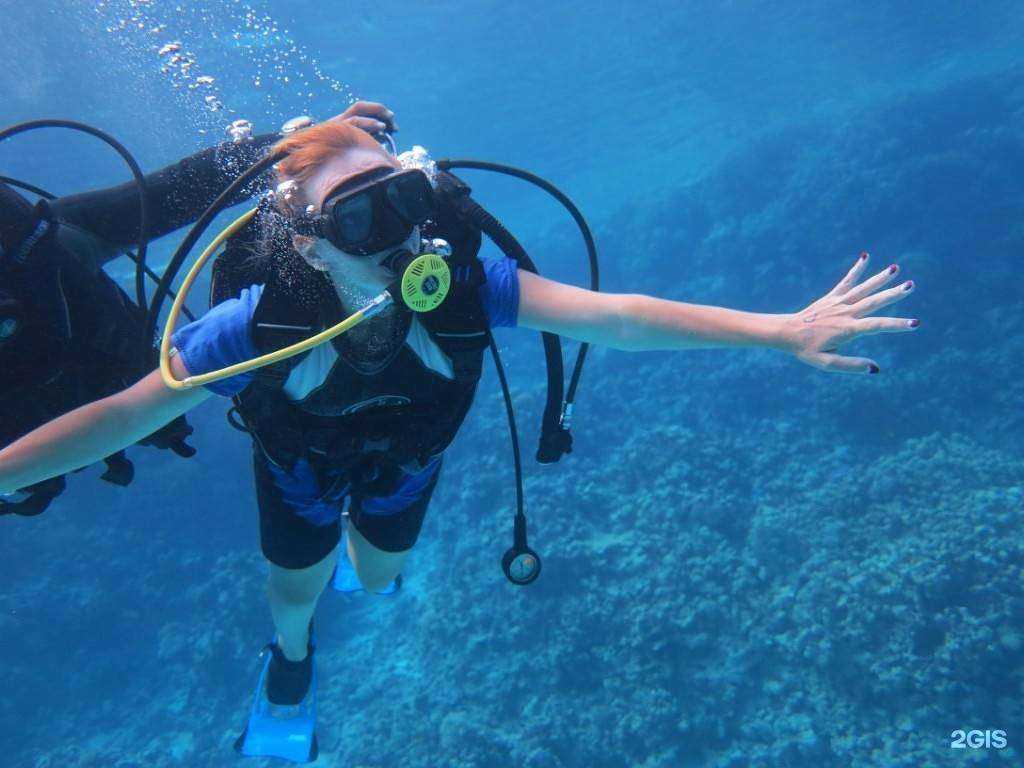 Отзывы на компанию Lovetour в г. Волгоград c фото