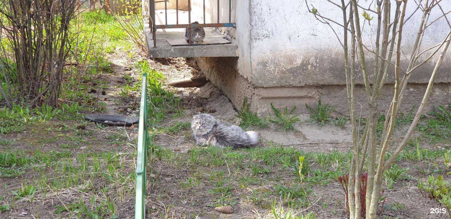 Отзывы на компанию Газель в Владимире c фото