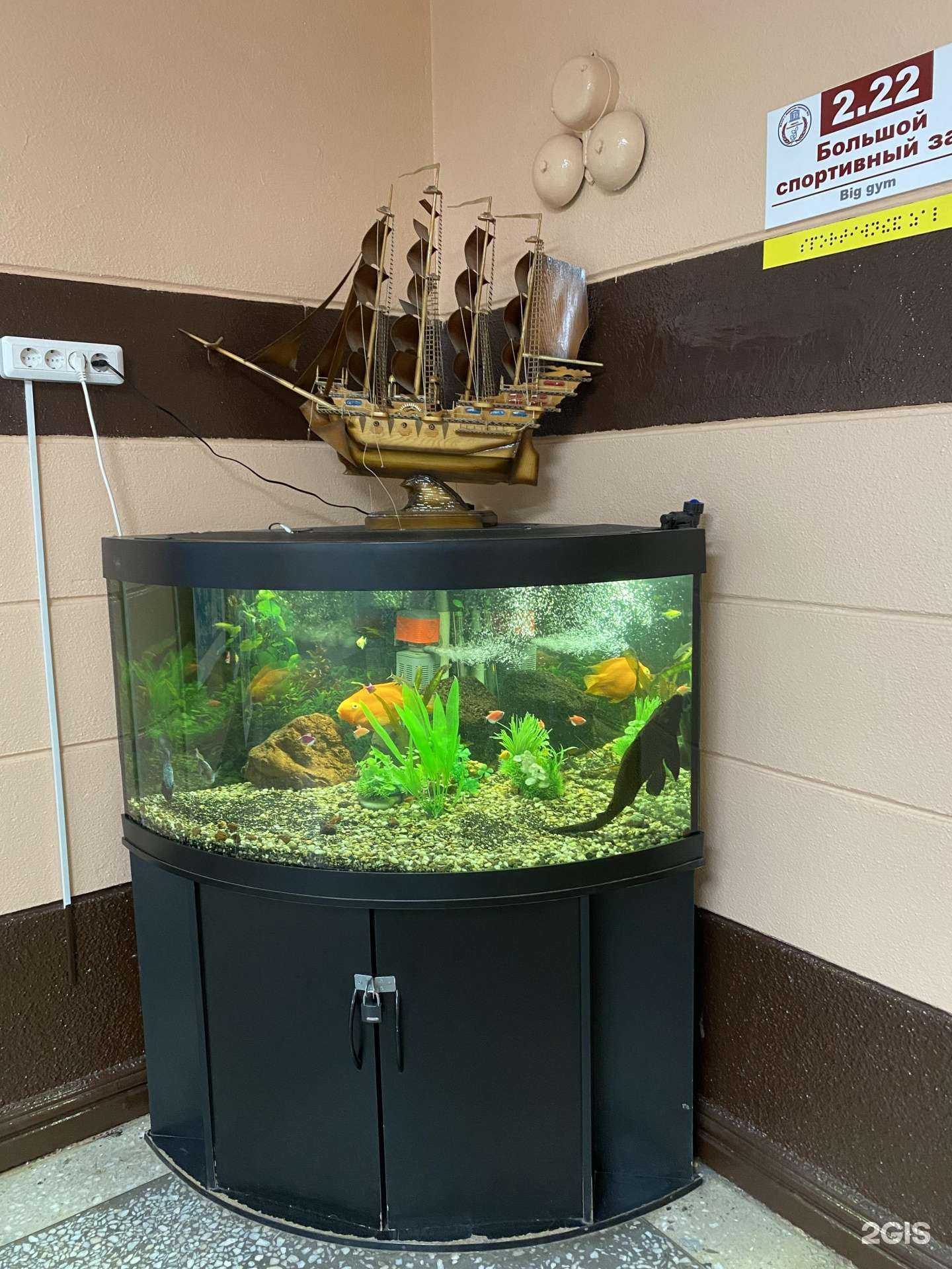 Отзывы на компанию Гимназия №2 в Иркутске c фото