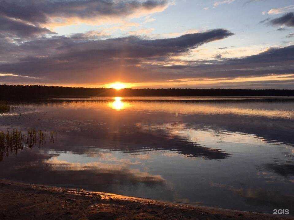 Отзывы на компанию Черная пантера в г. Псков c фото