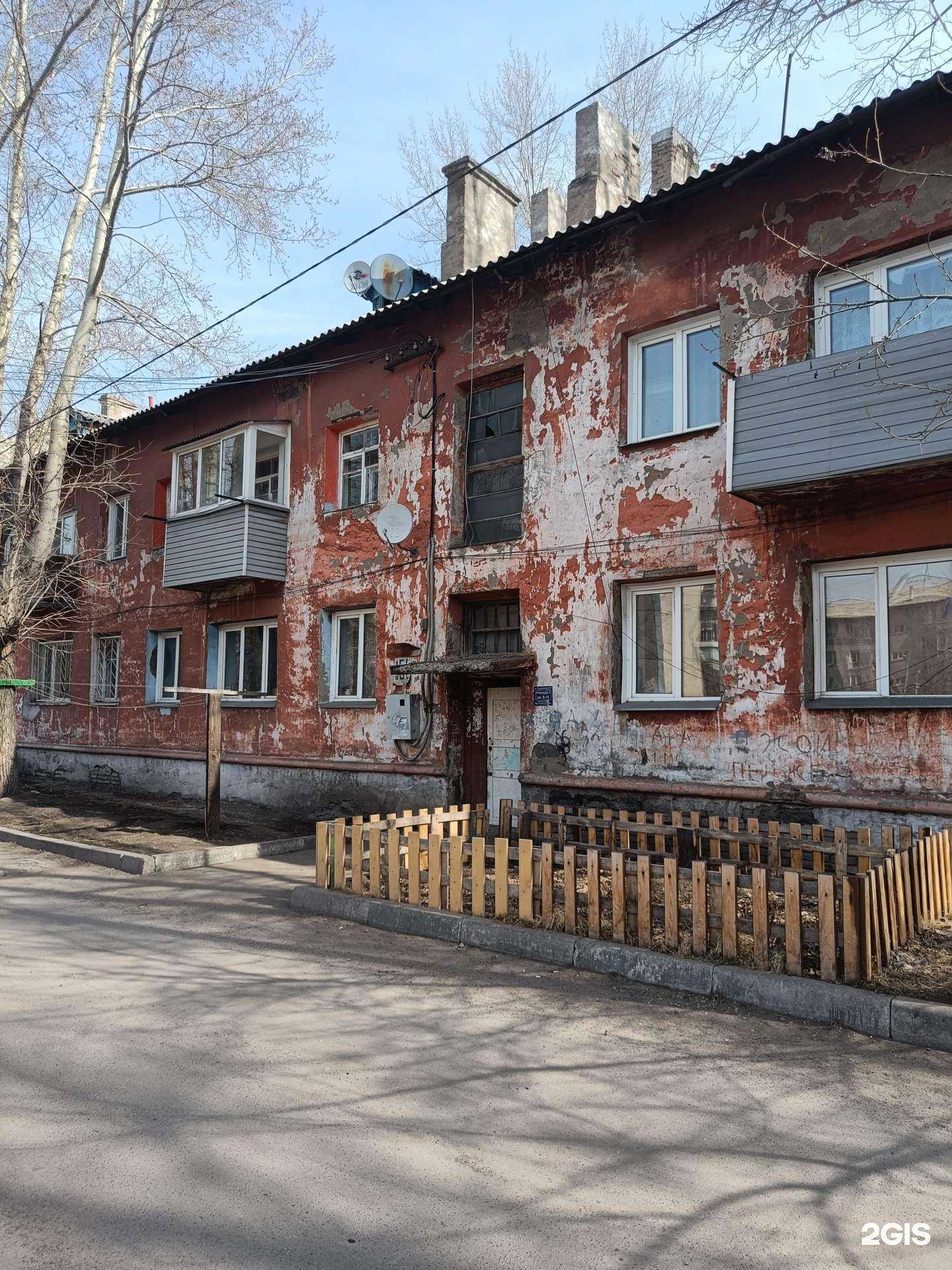 Отзывы на компанию Dog&Cat в Красноярске c фото - фотография 2 из 2