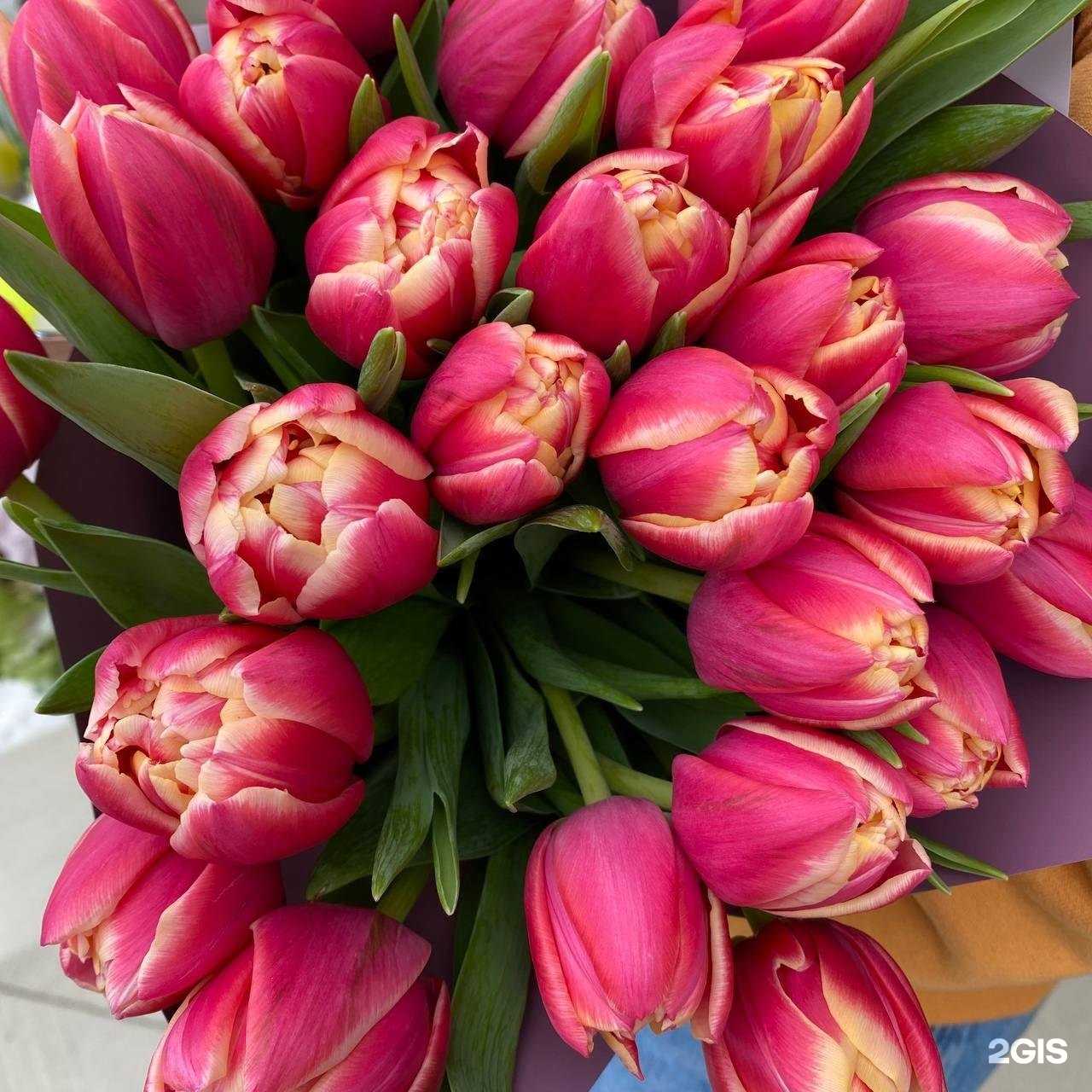 Отзывы на компанию Цветы с душой в г. Оренбург c фото