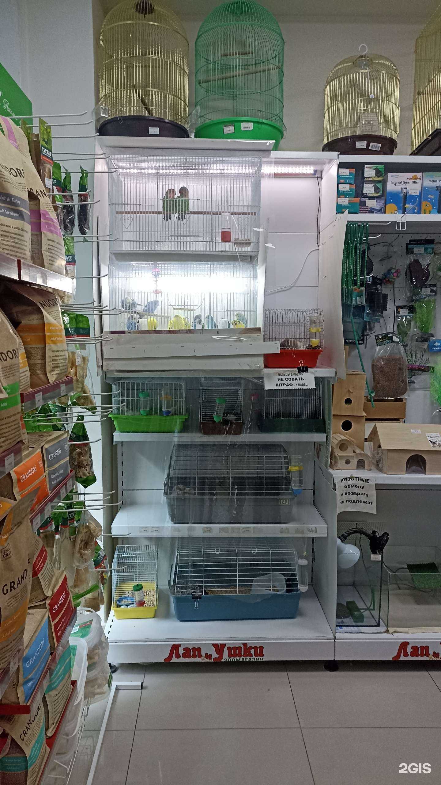 Отзывы на компанию Лапушки в Ессентуках c фото