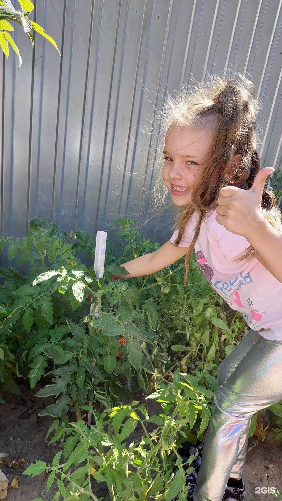 Отзывы на компанию Росинка в Ульяновске c фото