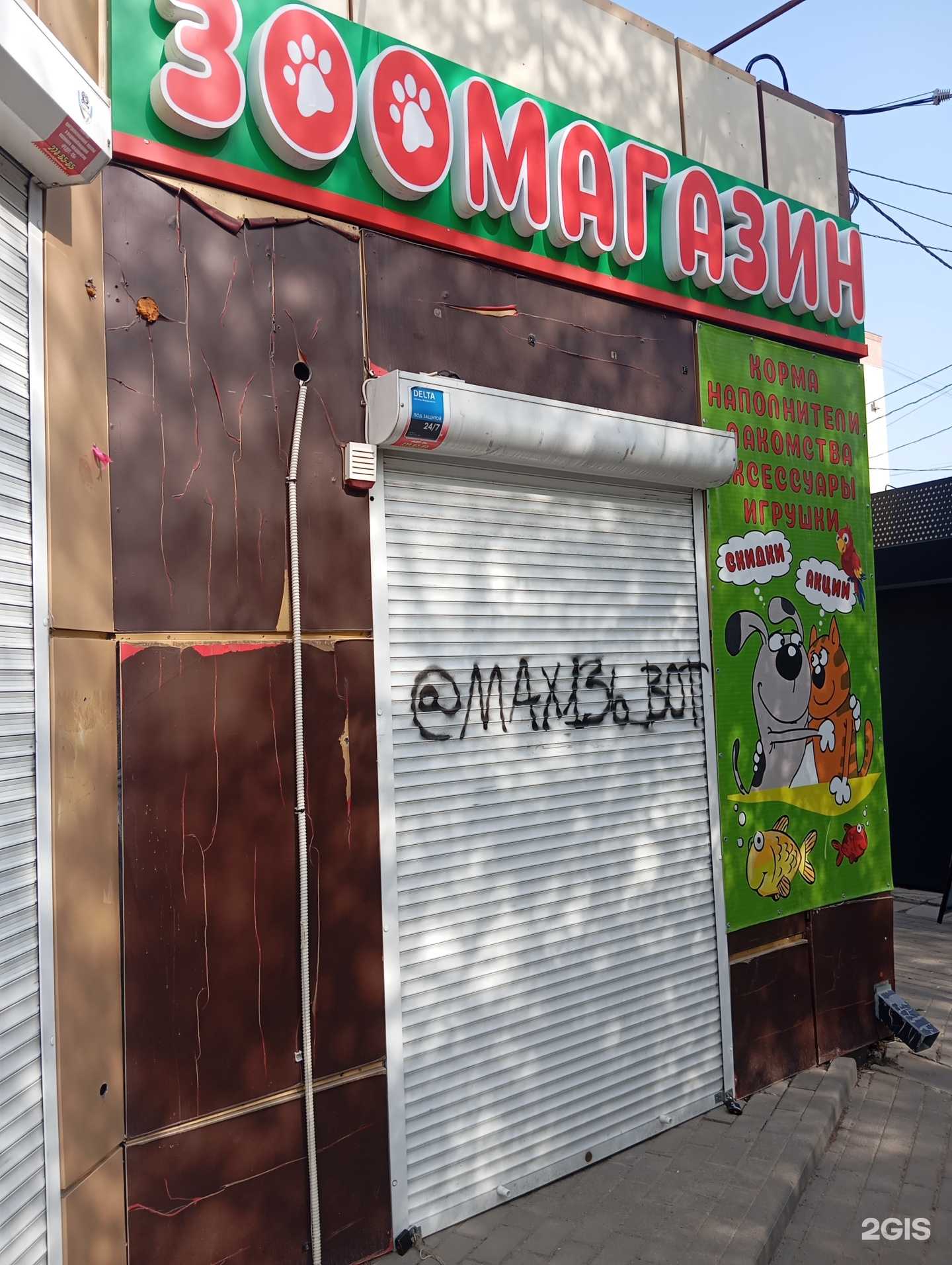 Отзывы на компанию Зоомагазин в г. Воронеж c фото