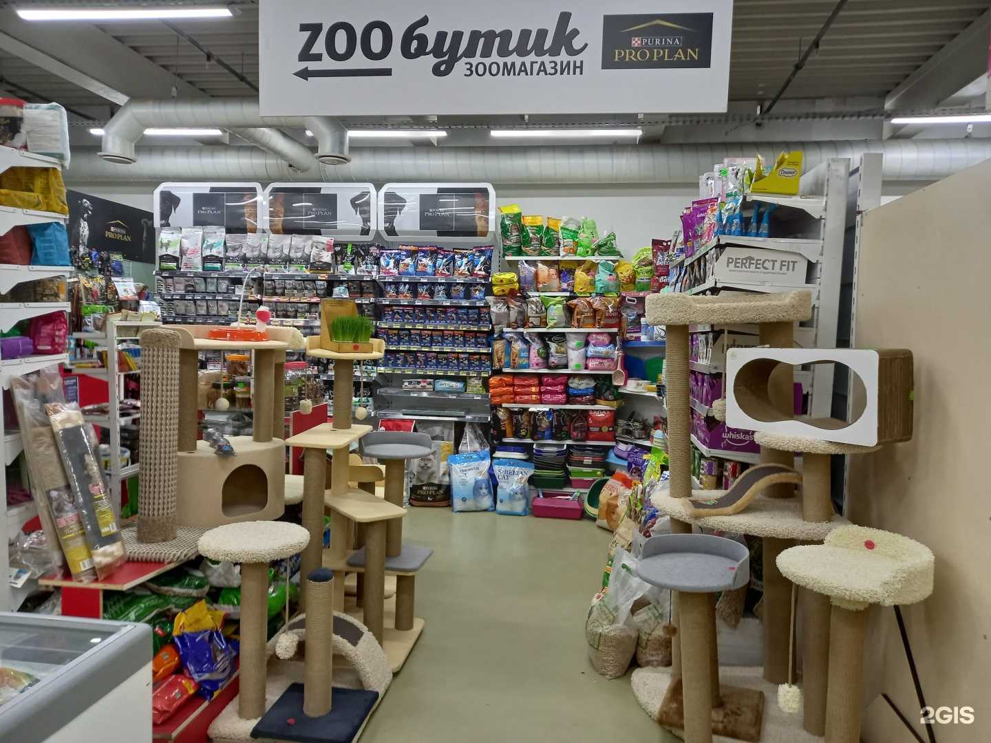 Отзывы на компанию Zoo бутик в Красноярске c фото