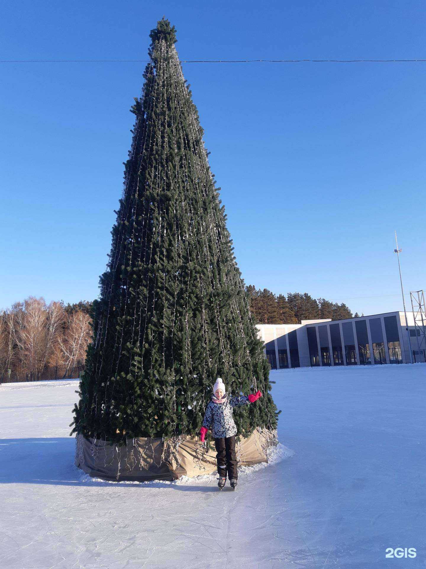 Отзывы на компанию Каток на Лыжной базе в г. Челябинск c фото