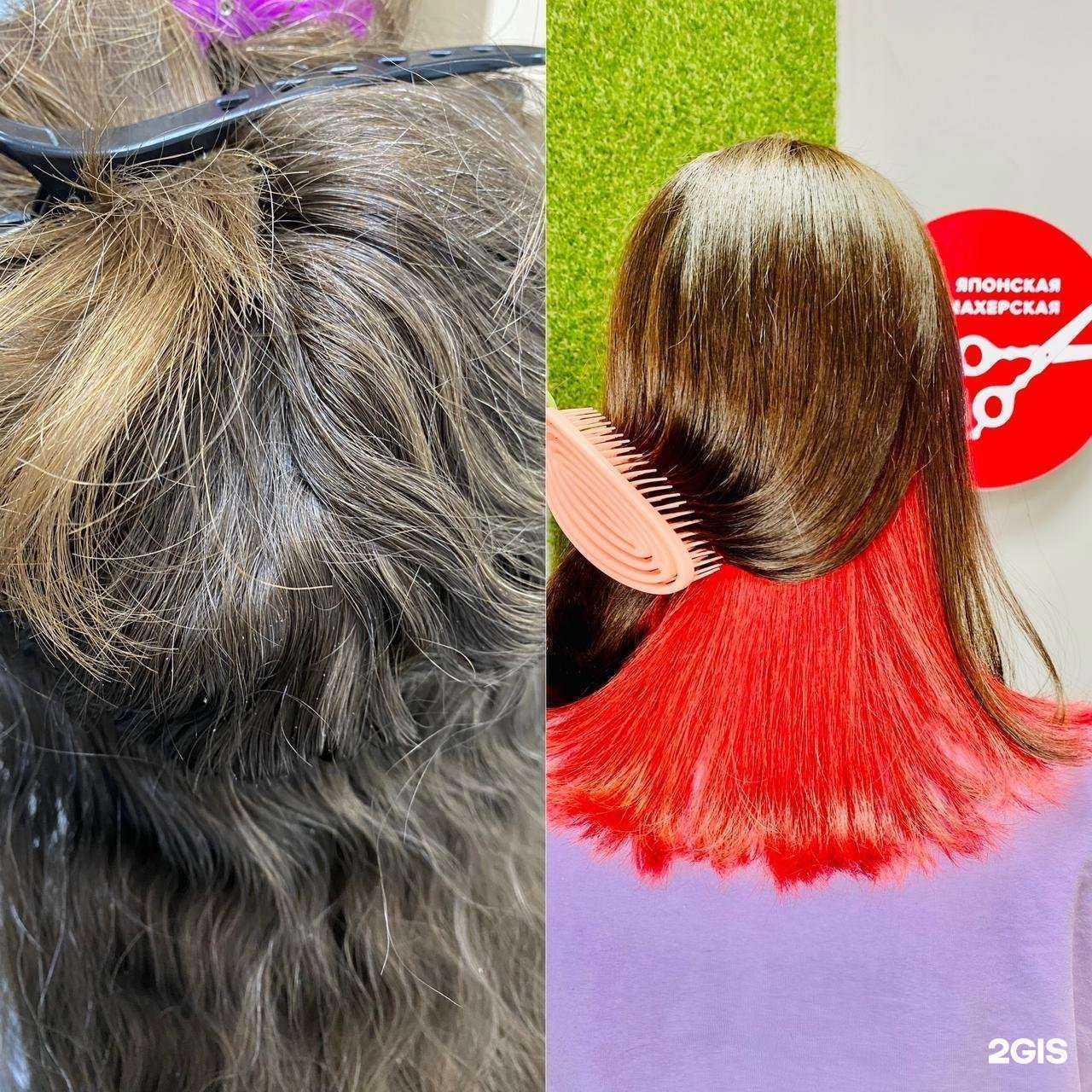 Отзывы на компанию Чио Чио в Сочи c фото