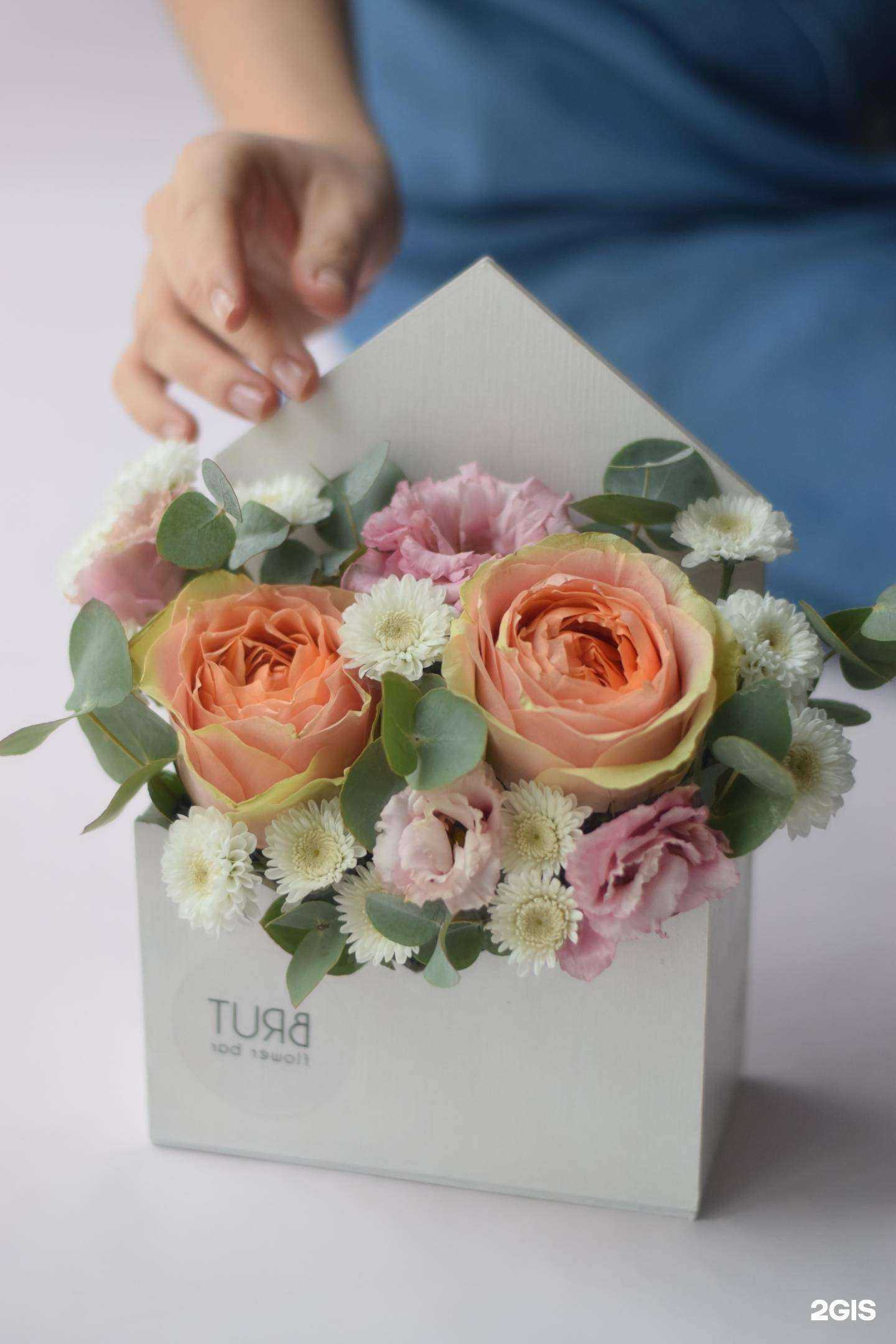 Отзывы на компанию Brut в Челябинске c фото