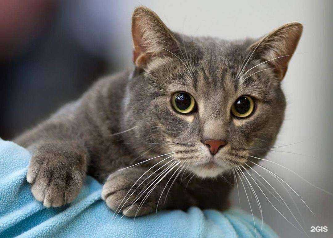 Отзывы на компанию Выставочный зал в г. Тула c фото