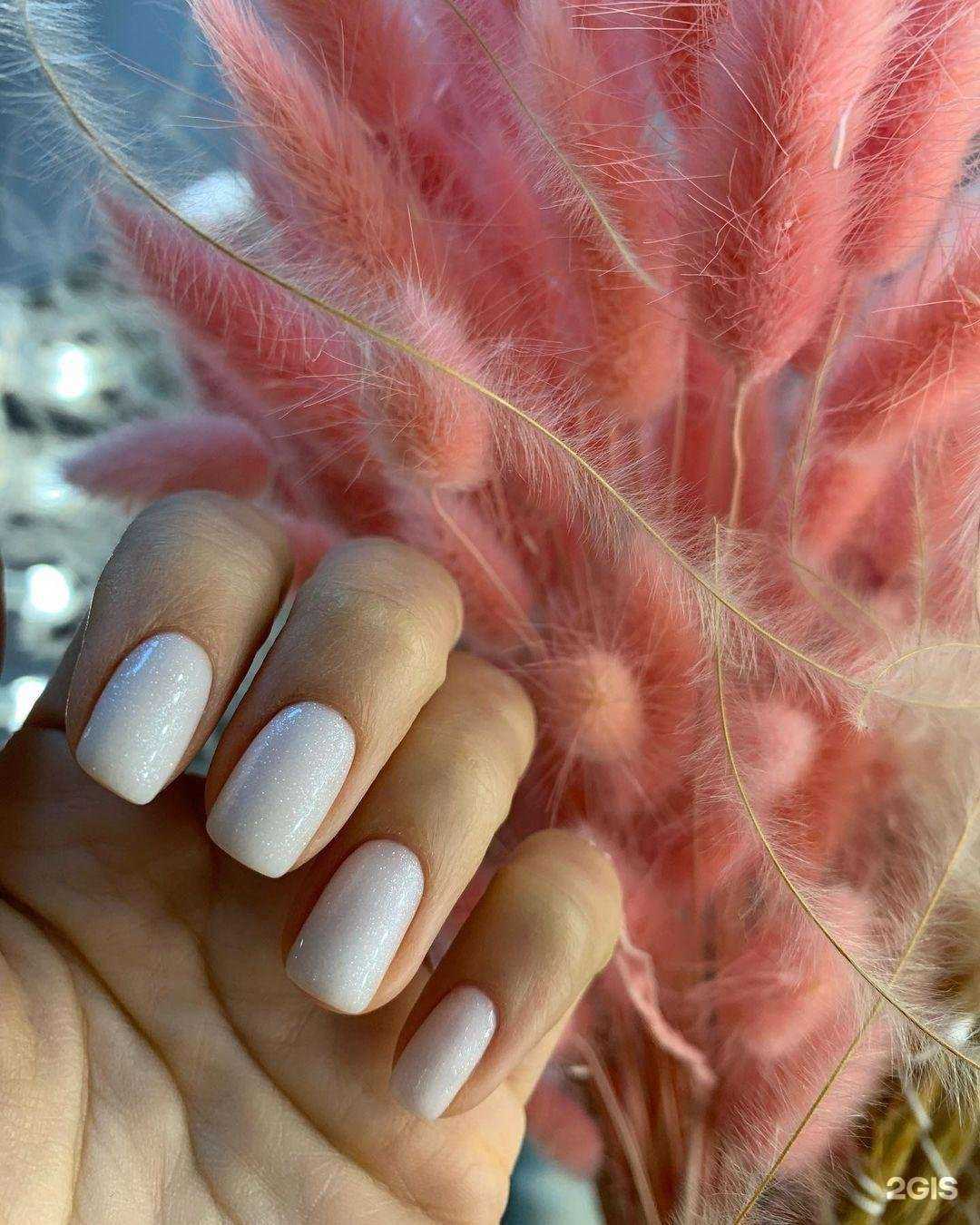 Отзывы на компанию Ma&Vi в Калининграде c фото