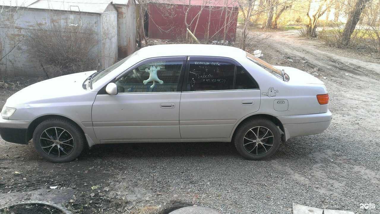 Отзывы на компанию D-4 в Новосибирске c фото