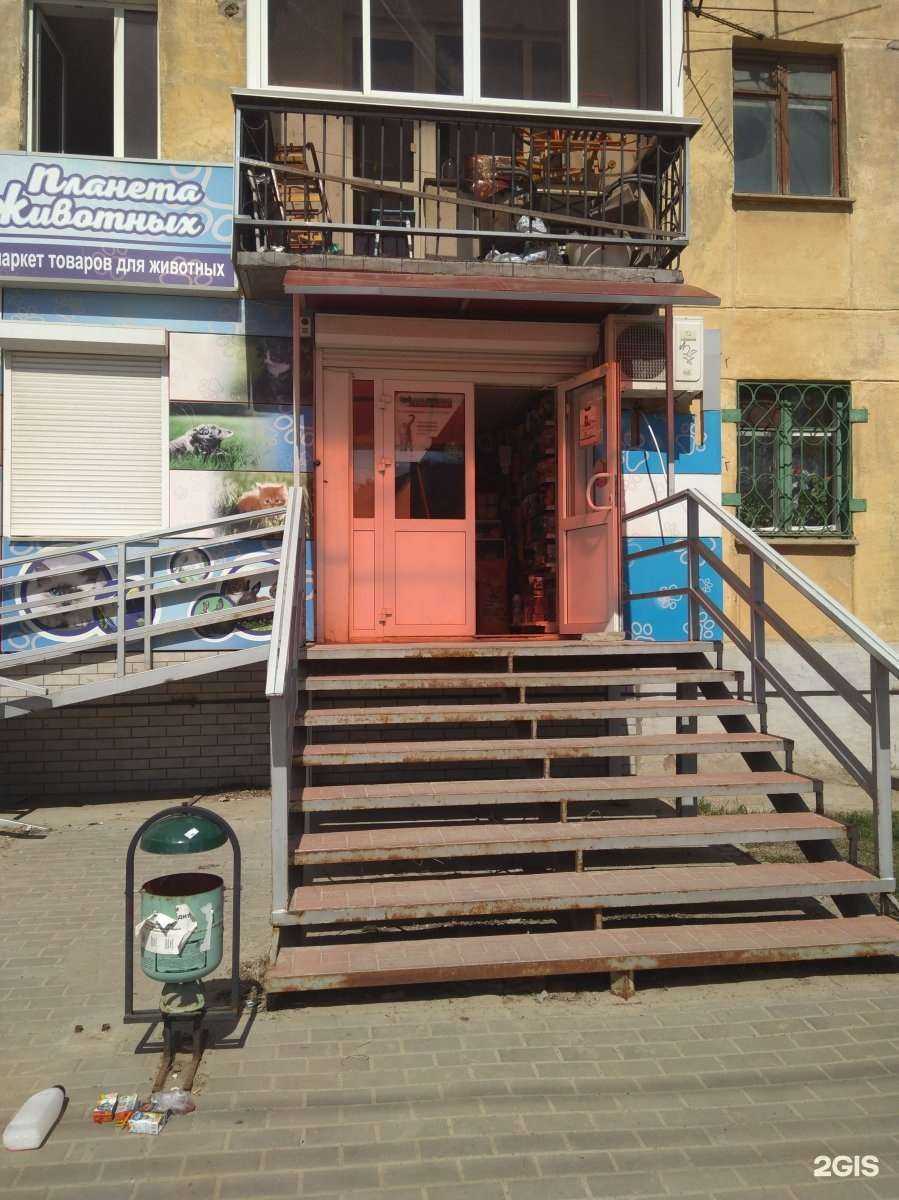 Отзывы на компанию Планета животных в г. Волгоград c фото