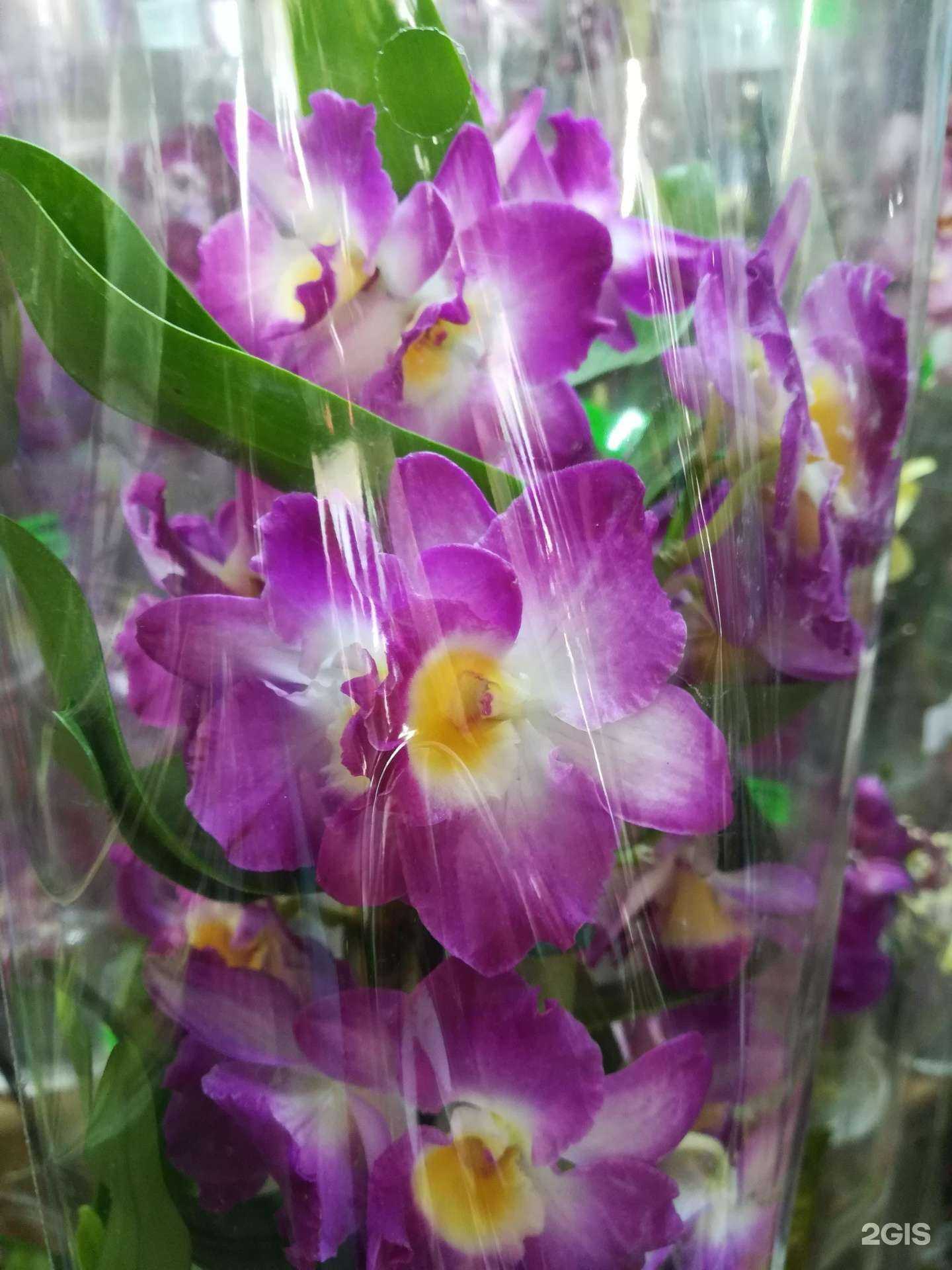 Отзывы на компанию Магазин в Астрахани c фото