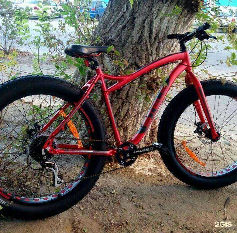 Отзывы на компанию Stels в г. Тольятти c фото