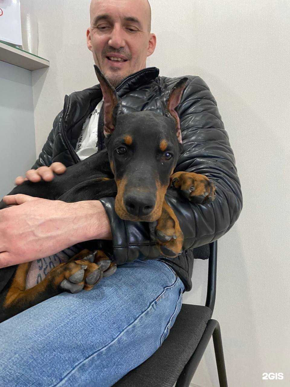 Отзывы на компанию Здоровый питомец в г. Самара c фото