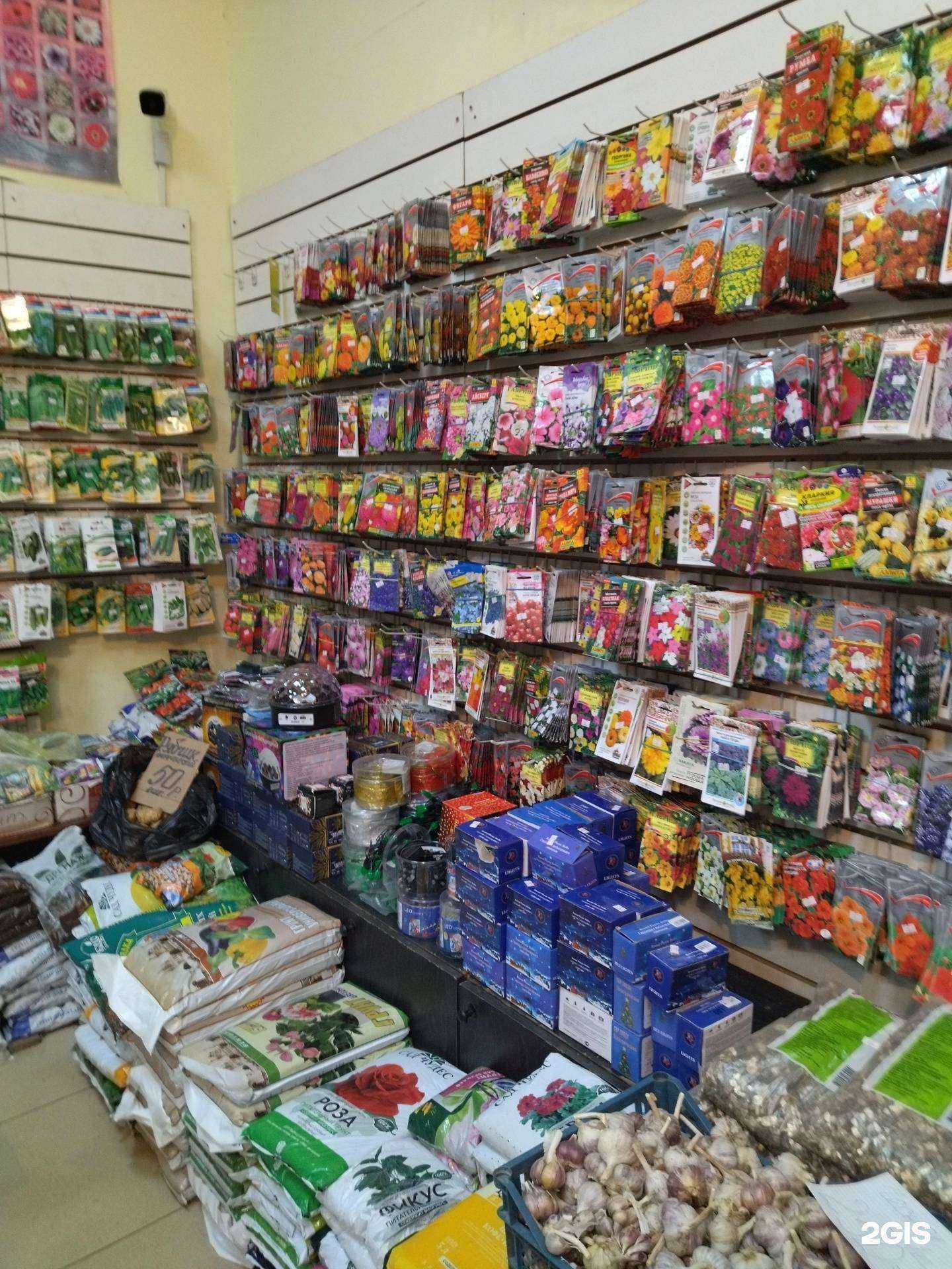 Отзывы на компанию Семена в Заречном в Тюмени c фото