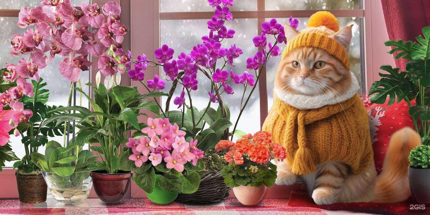 Отзывы на компанию Универсад в г. Хабаровск c фото