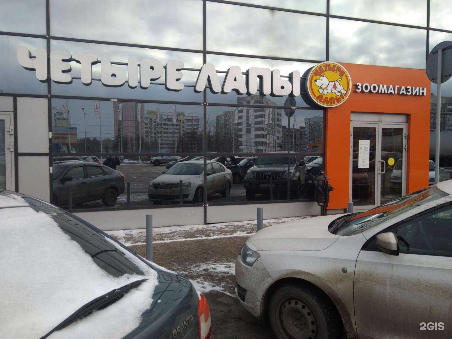 Отзывы на компанию Четыре лапы в г. Иваново c фото