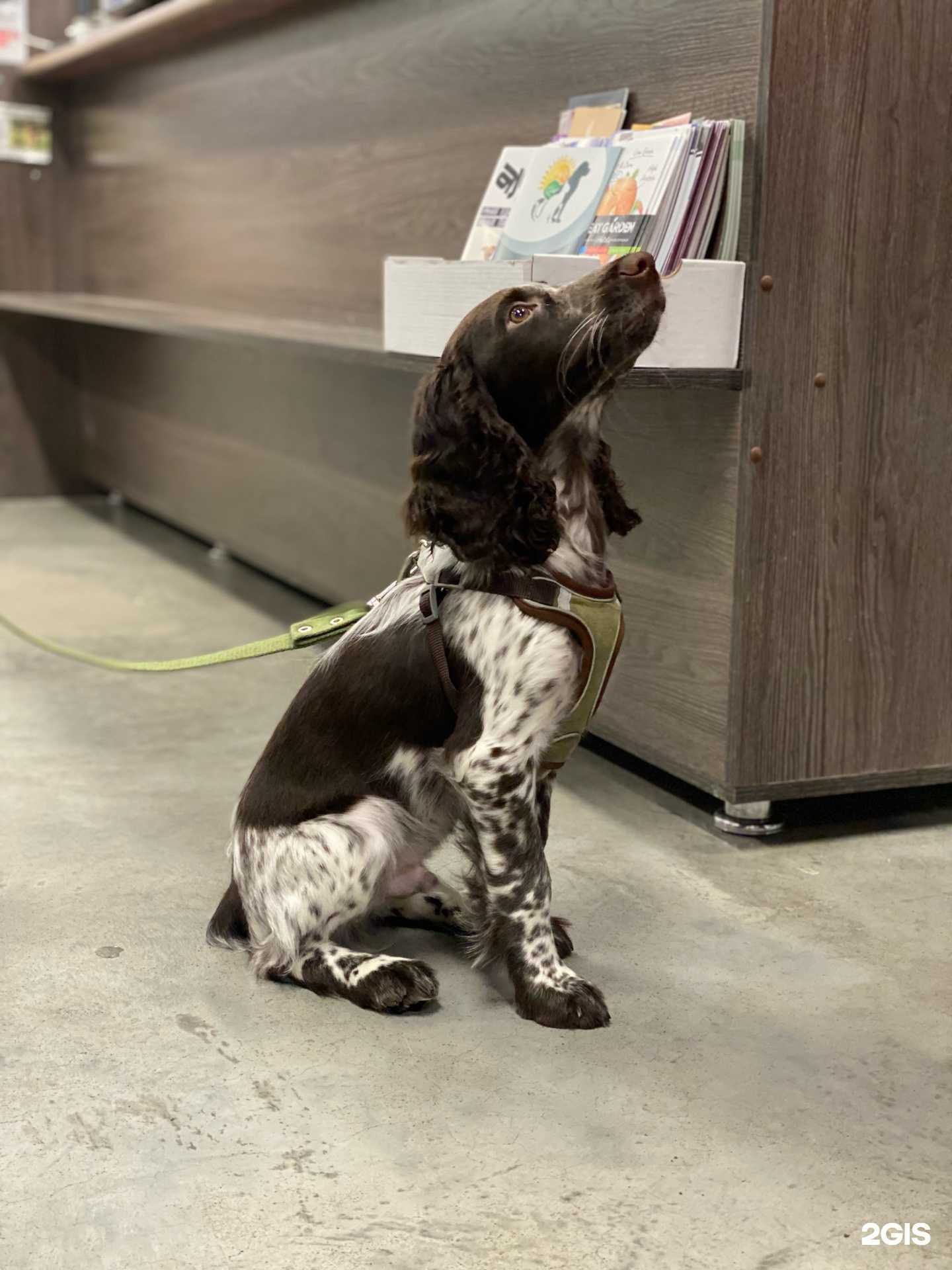 Отзывы на компанию Альф в г. Барнаул c фото