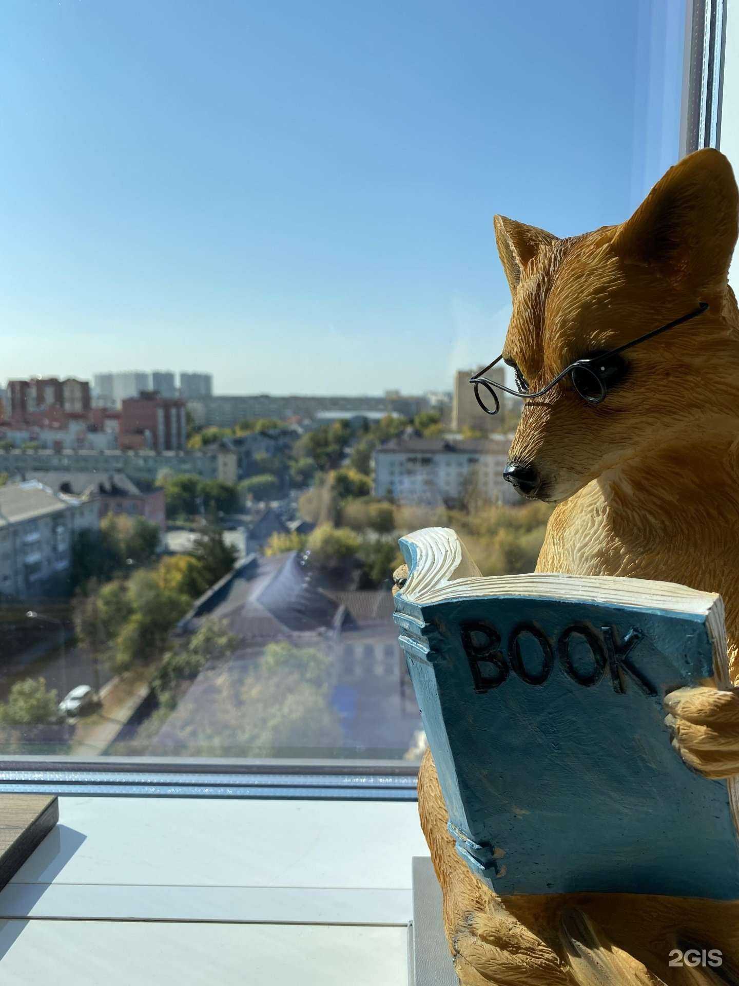 Отзывы на компанию Fox в Тюмени c фото