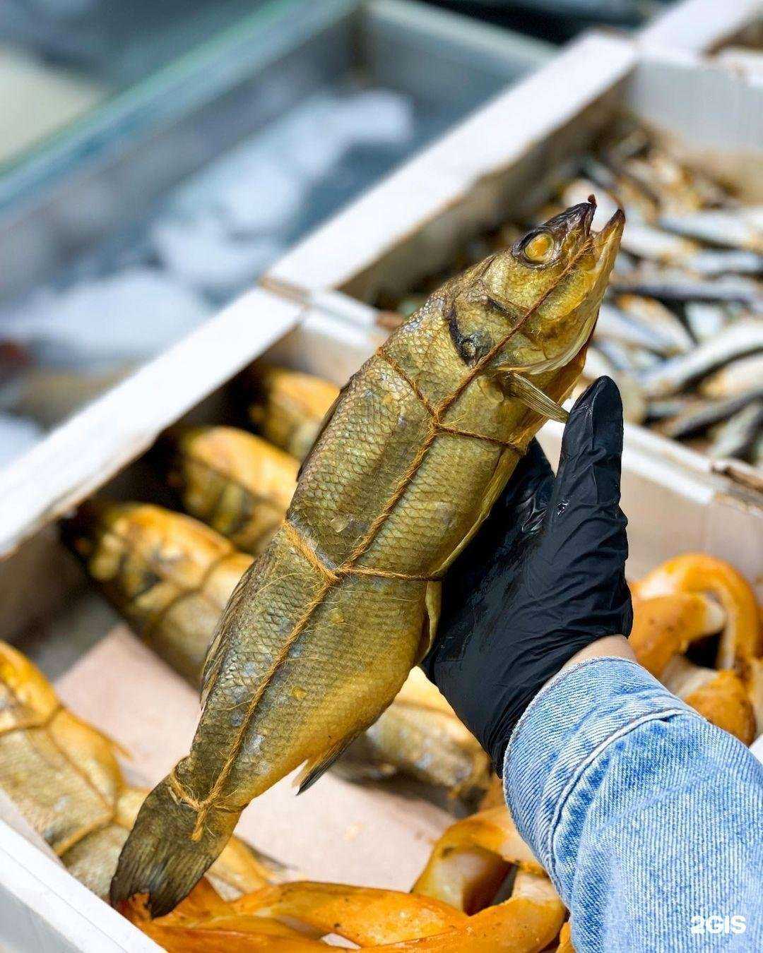 Отзывы на компанию Fish House в Краснодаре c фото