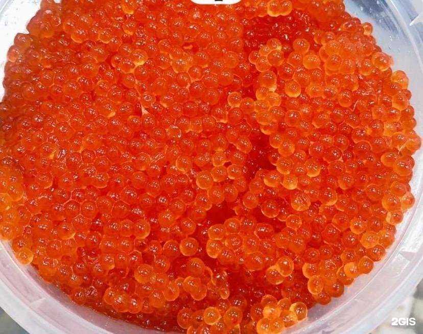 Отзывы на компанию Сытый кот в Минусинске c фото