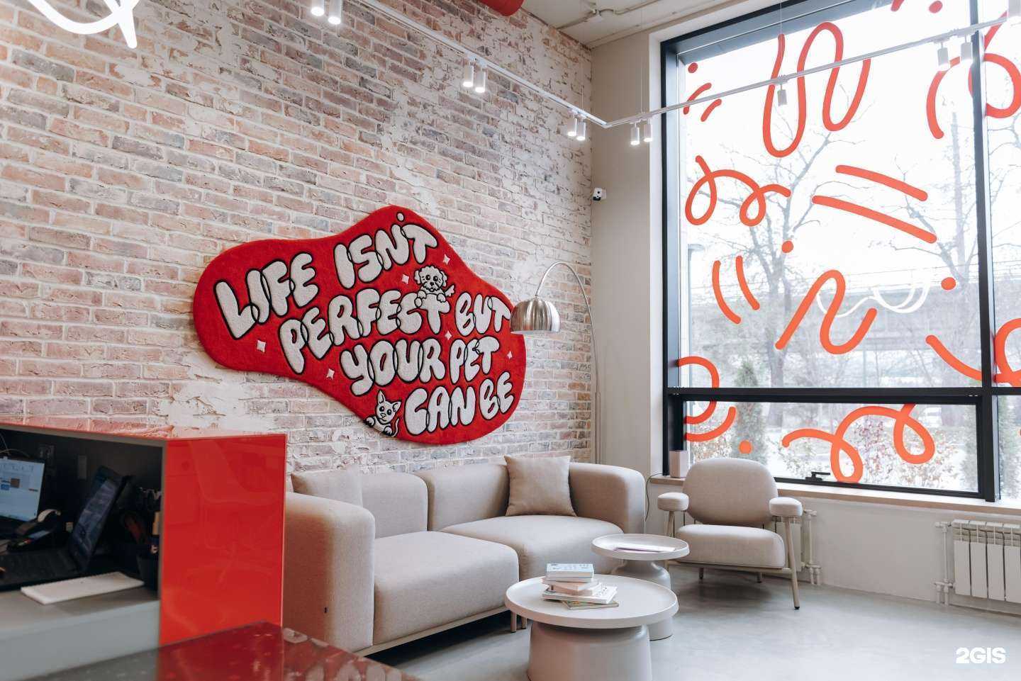 Отзывы на компанию Muzzle груминг&СПА в Новосибирске c фото