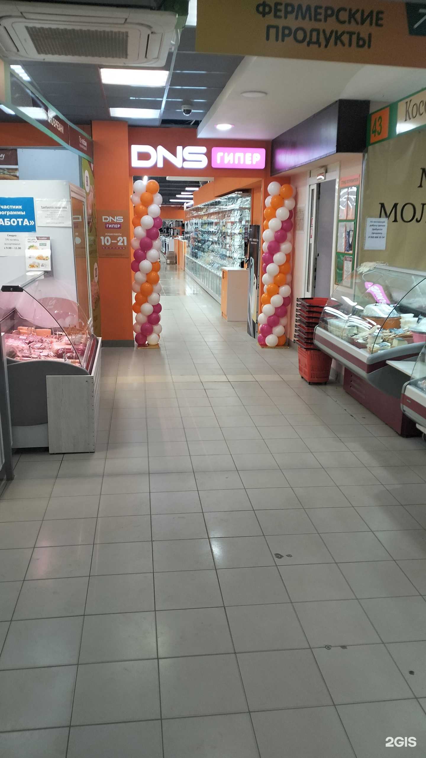 Отзывы на компанию DNS в Рязани c фото