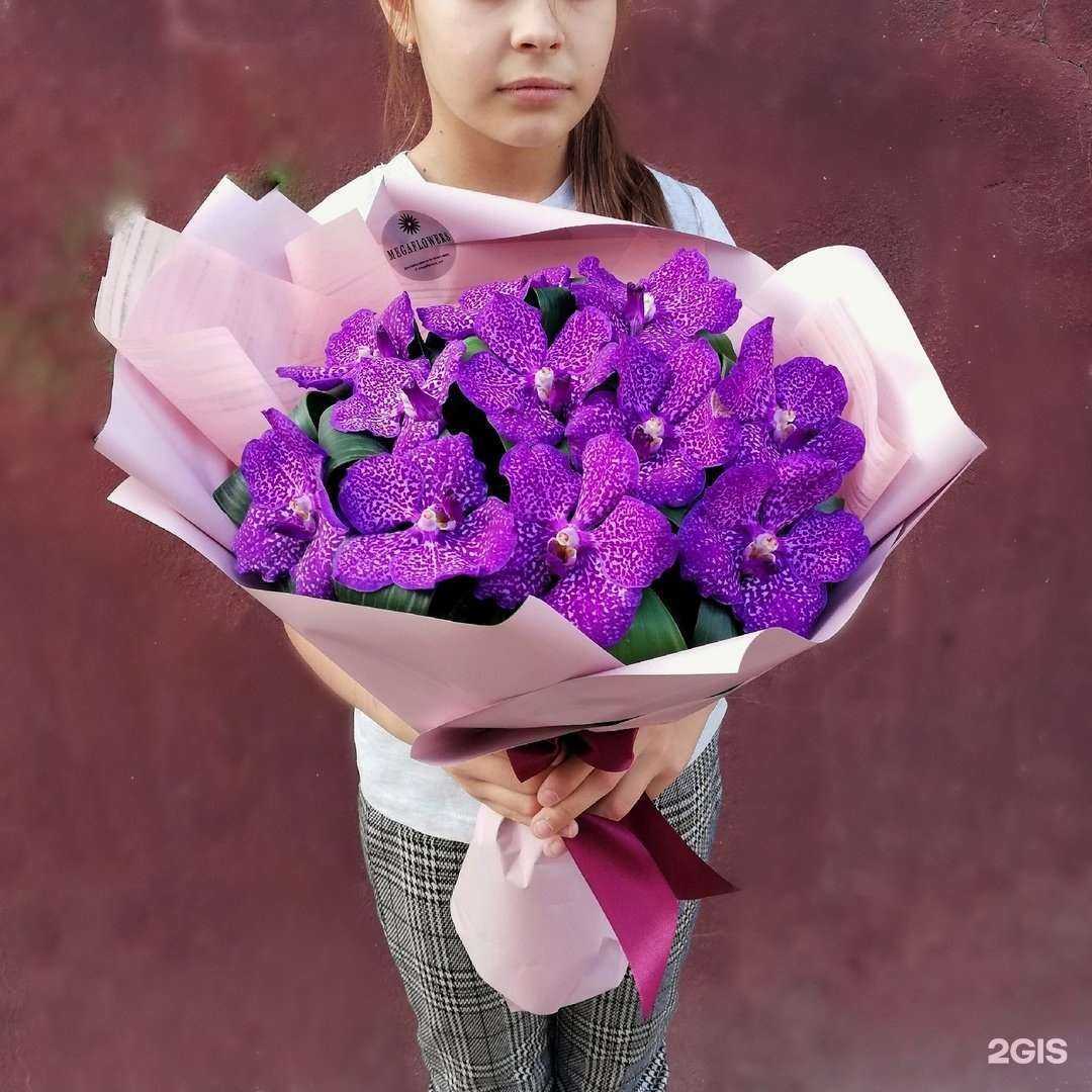 Отзывы на компанию Я, снова я, и модерн в Белгороде c фото