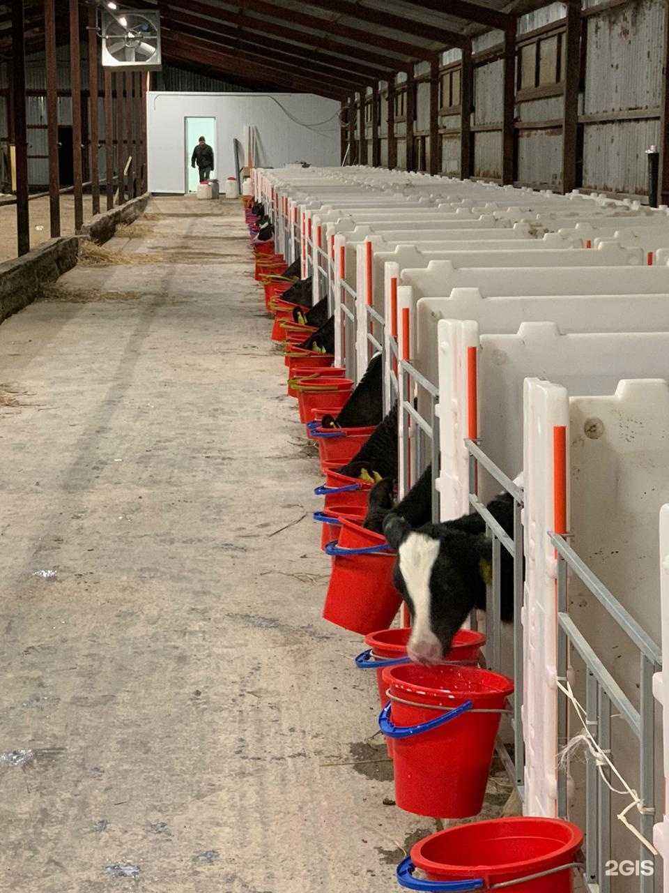 Отзывы на компанию Европласт в г. Тула c фото