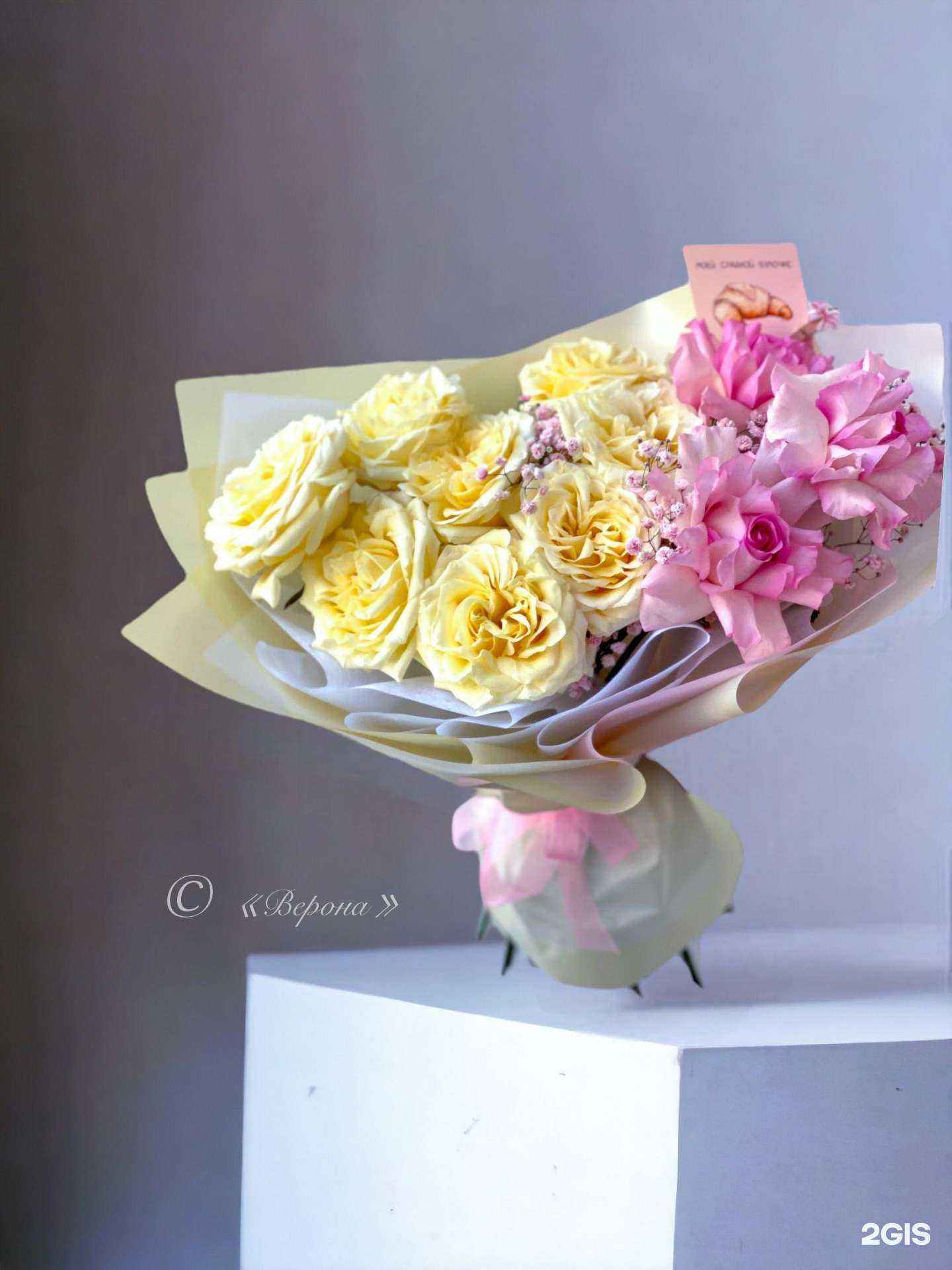 Отзывы на компанию Верона в Владивостоке c фото