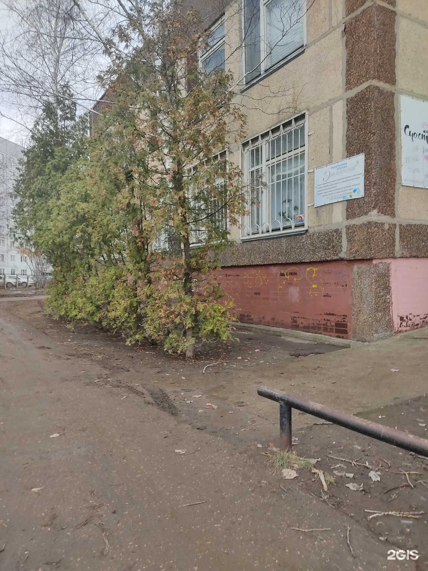 Отзывы на компанию Аврора в Балакове c фото