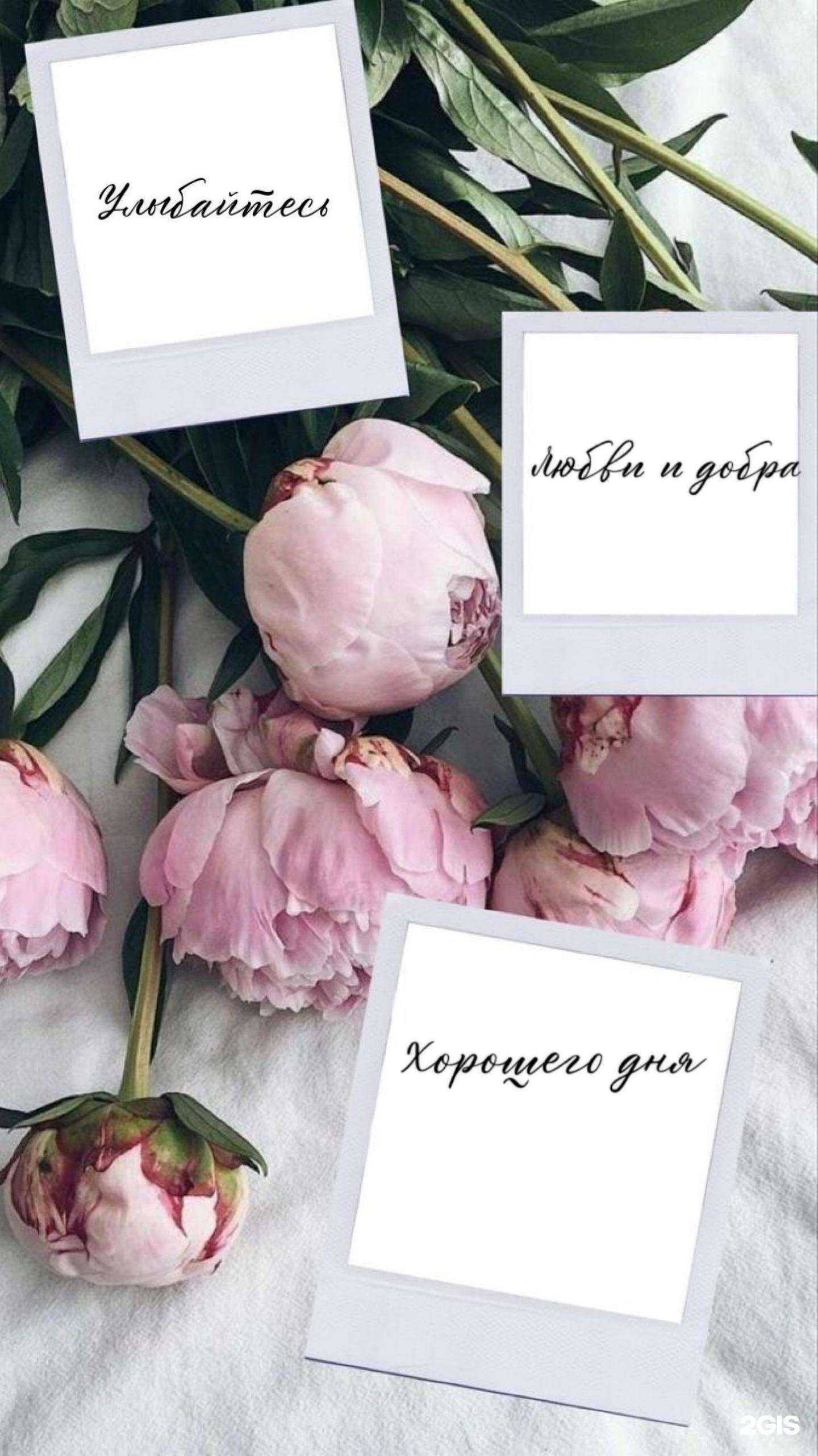 Отзывы на компанию Ногтевая мастерская в Новосибирске c фото