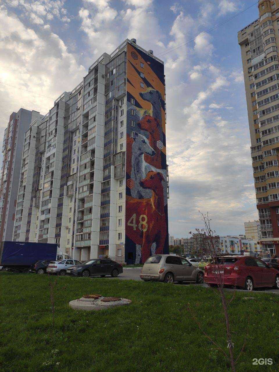 Отзывы на компанию Акварелька & Развивайка в Челябинске c фото - фотография 2 из 2