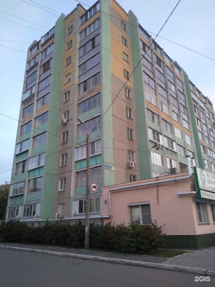 Отзывы на компанию Челябинский центр ветеринарной медицины в Челябинске c фото - фотография 2 из 2