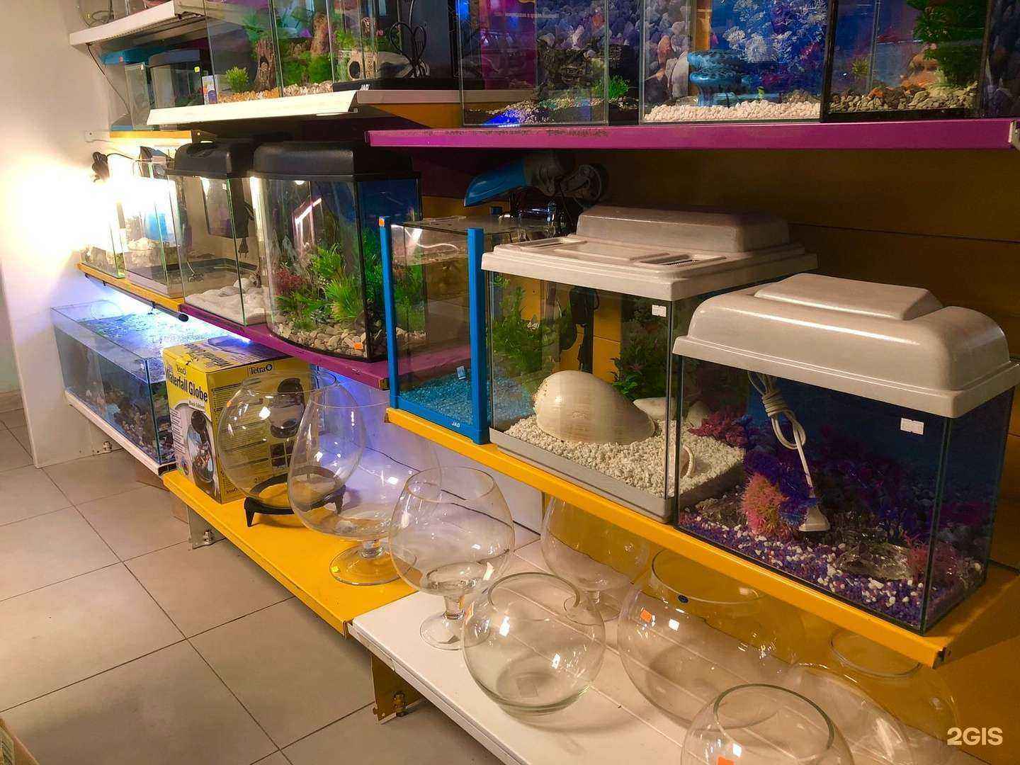 Отзывы на компанию АкваЗоо в г. Новосибирск c фото