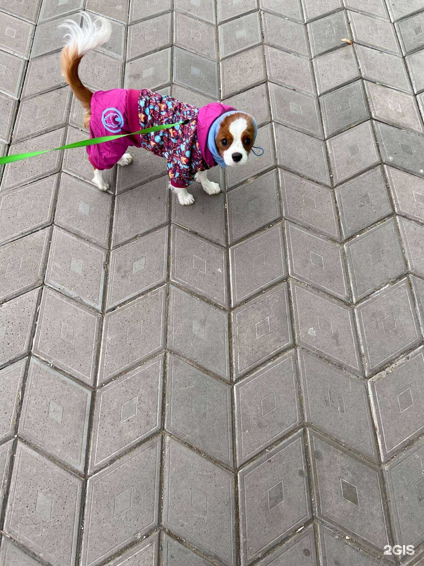 Отзывы на компанию Браво в Тольятти c фото