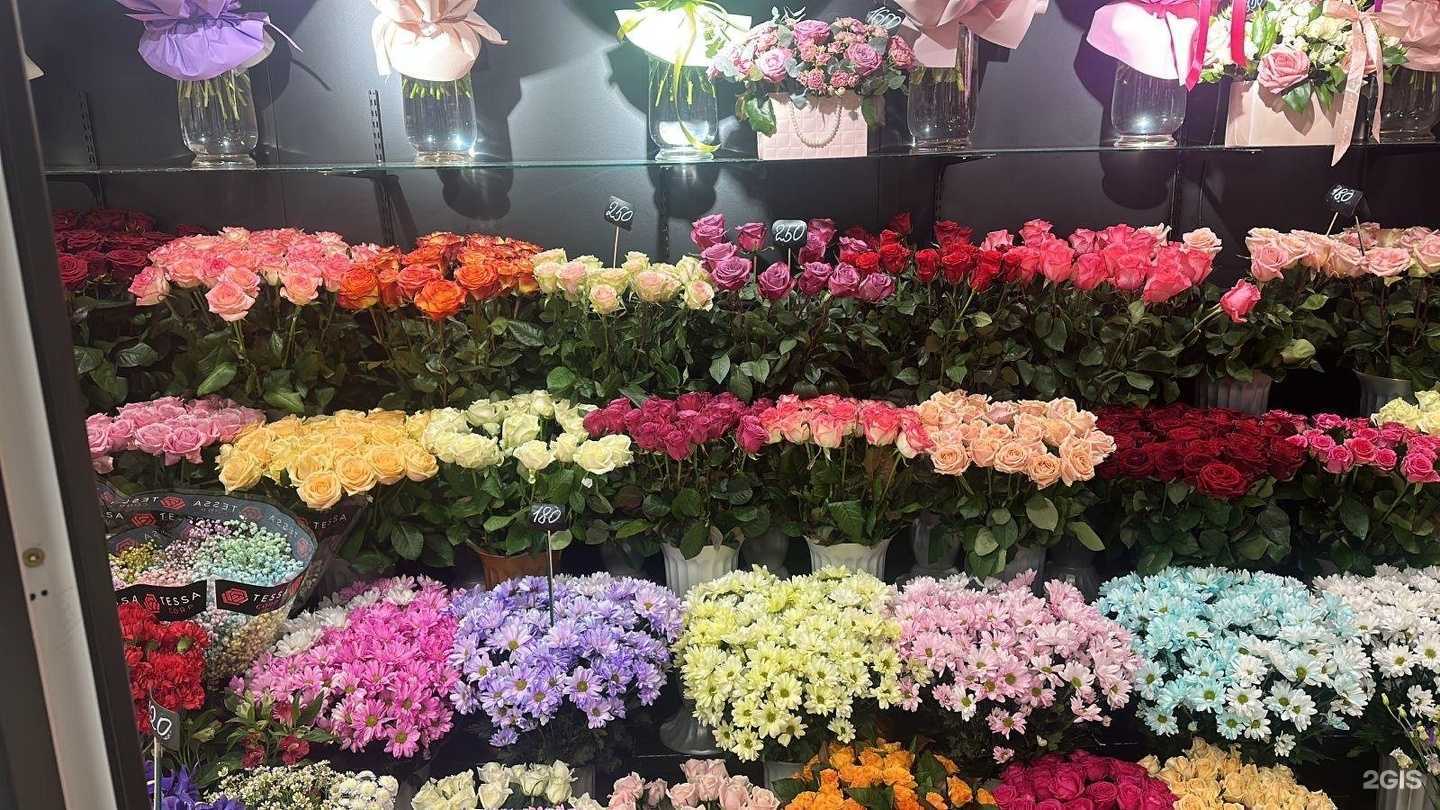 Отзывы на компанию Флоридея в Железноводске c фото