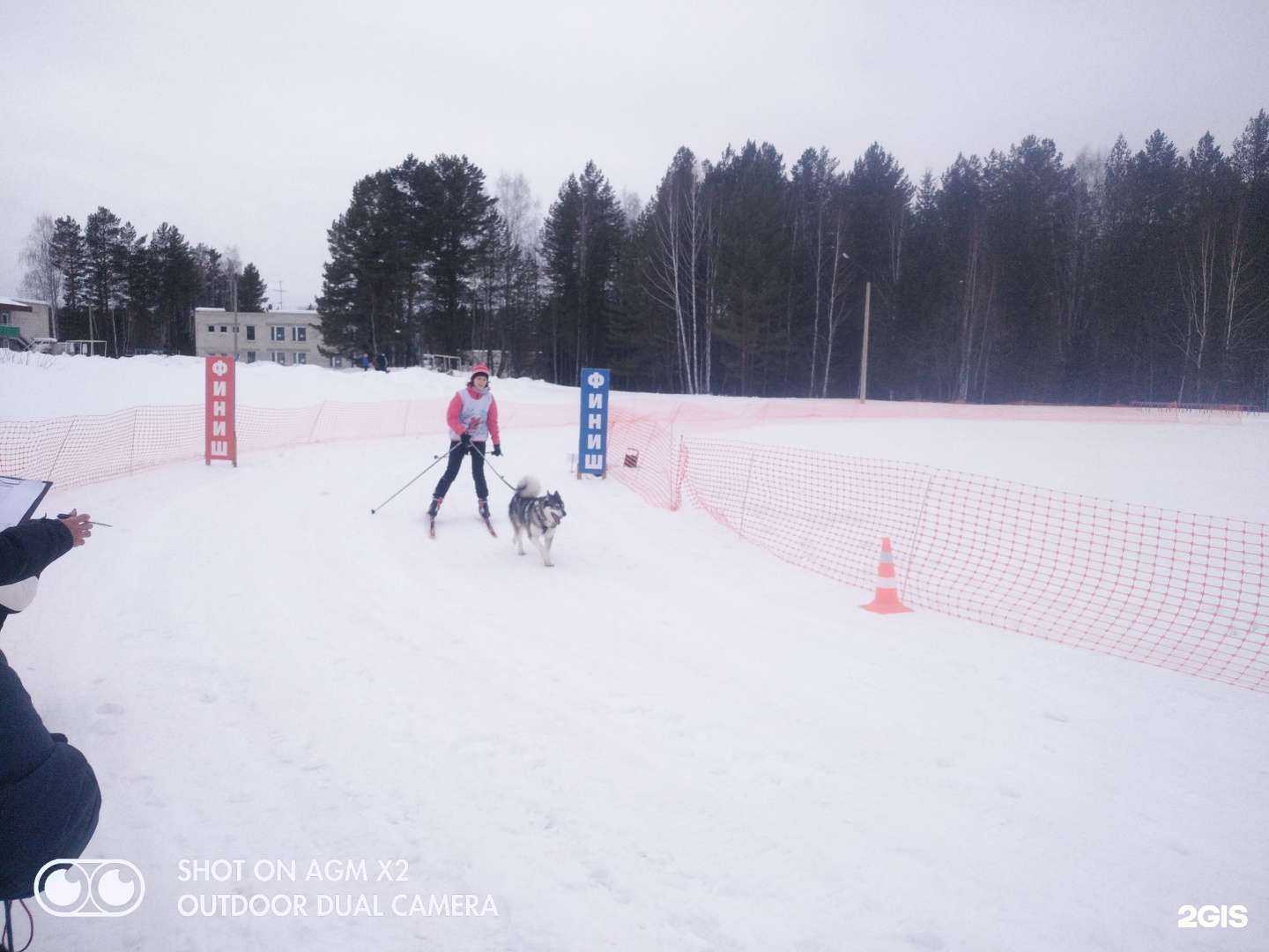 Отзывы на компанию Ревдинская участковая ветеринарная лечебница в Ревде c фото