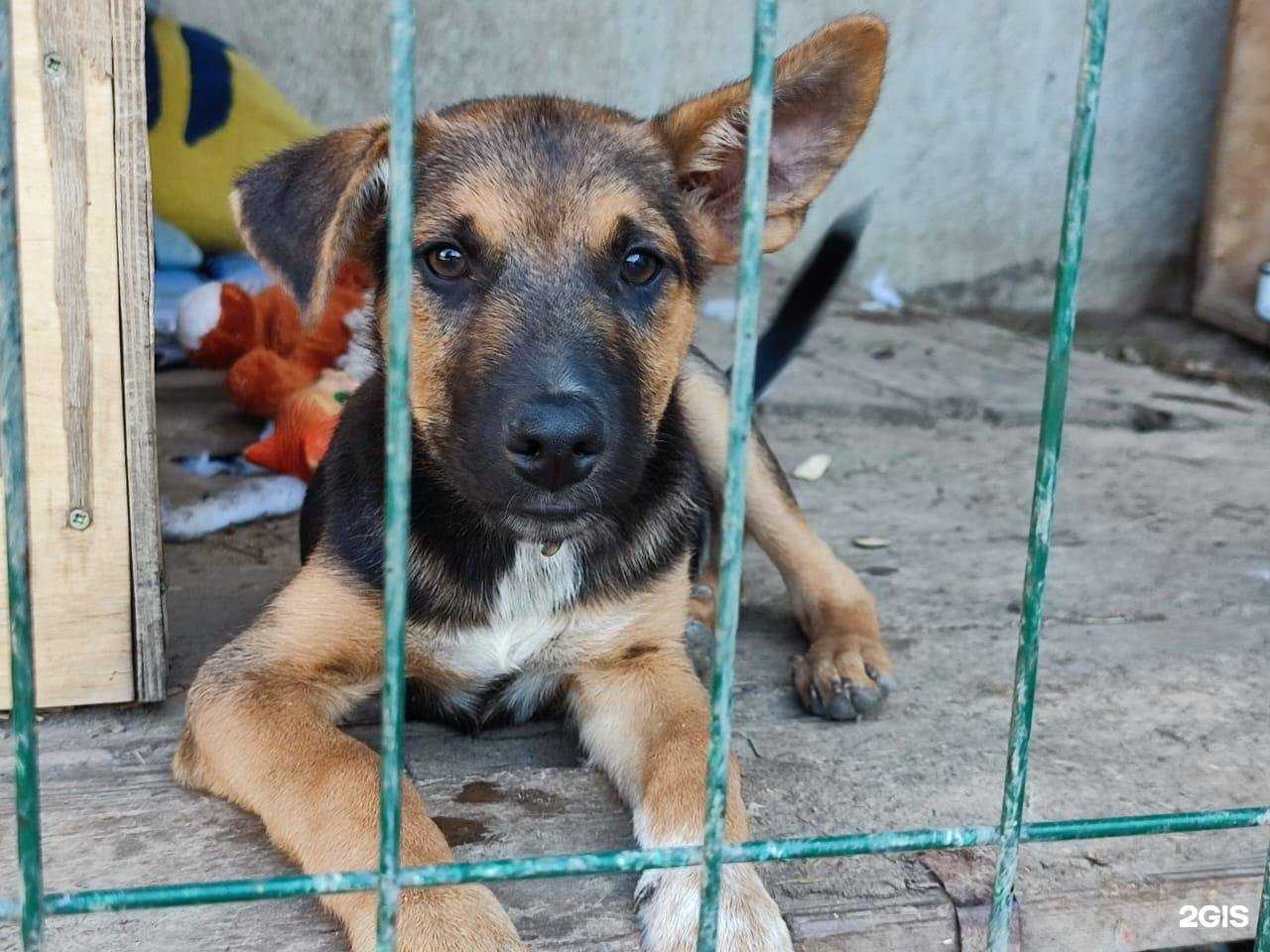 Отзывы на компанию Уголёк в г. Волжский c фото